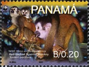 Stamp, Red-backed Sqirrel Monkey (Saimiri oerstedii), Panama,  , Animals (Fauna)