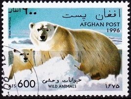 Stamp, Polar Bear (Ursus maritimus), Afghanistan,  , Bears, Polar Bears