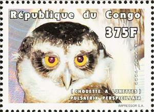 Stamp, Spectacled Owl (Pulsatrix perspicillata), Congo, Republic (Brazzaville),  , Birds of Prey, Owls
