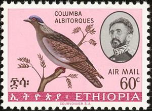 Stamp, White-collared Pigeon (Columba albitorques), Ethiopia,  , Birds, Pigeons, Animals (Fauna)
