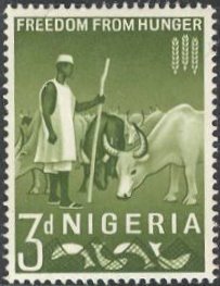 Herdsman with cattle