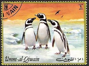 Stamp, Humboldt Penguin (Spheniscus humboldti, Umm al-Qiwain,  , Penguins