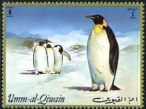 Emperor Penguin (Aptenodytes forsteri)