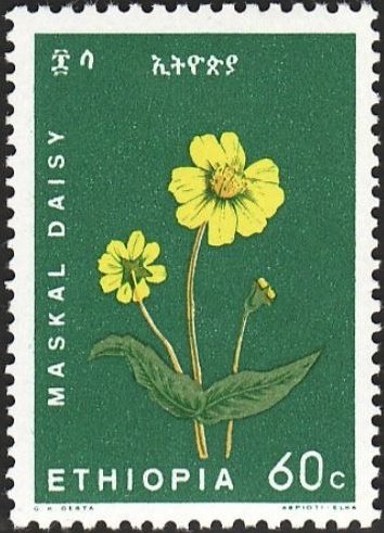 Maskal daisy