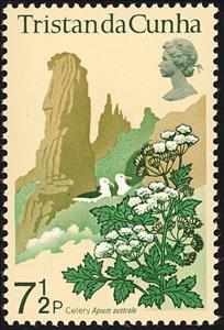 Stamp, Celery and terns, Tristan da Cunha,  