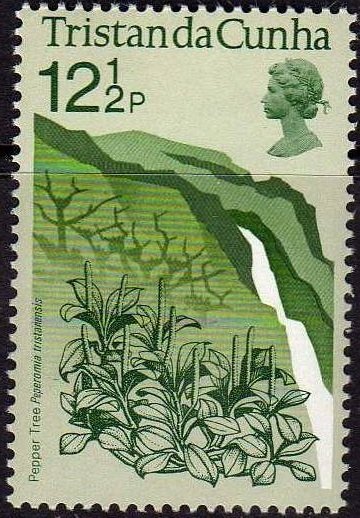 Pepper tree and waterfall
