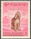 Stamp, Afghan Hound (Canis lupus familiaris), Afghanistan,  , Landscapes, Mammals, Dogs, Animals (Fauna)