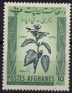 Stamp, Jute plant, Afghanistan,  , Plants (Flora)