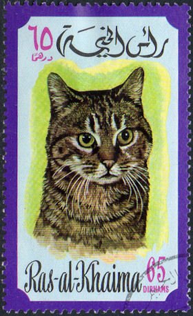 Stamp, Cat (Felis silvestris catus), Ras al Khaimah,  , Cats