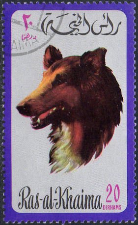 Stamp, Rough Collie (Canis lupus familiaris), Ras al Khaimah,  , Dogs