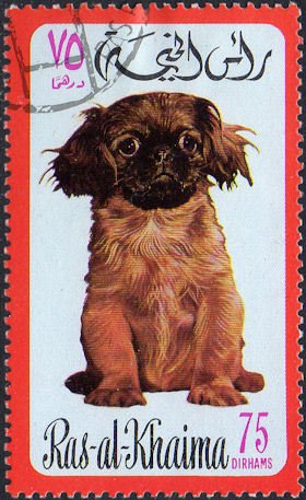 Stamp, Pekinese (Canis lupus familiaris), Ras al Khaimah,  , Dogs