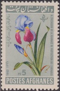 Stamp, Iris, Afghanistan,  , Flowers