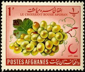 Stamp, Vitis vinifera, Afghanistan,  , Red Cross and Red Crescent, Fruits