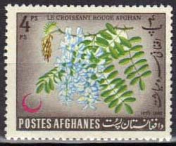 Robinia
