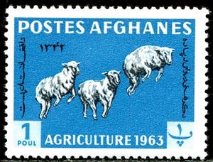 Stamp, Karakul Sheep (Ovis ammon aries), Afghanistan,  , Mammals, Sheep