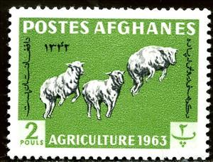 Stamp, Karakul Sheep (Ovis ammon aries), Afghanistan,  , Mammals, Sheep, Agriculture, Animals (Fauna)