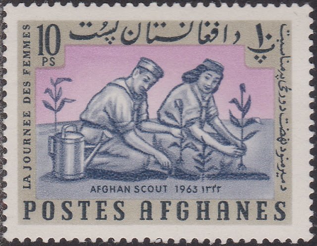 Scouts plant trees