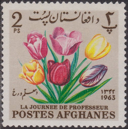 Tulips