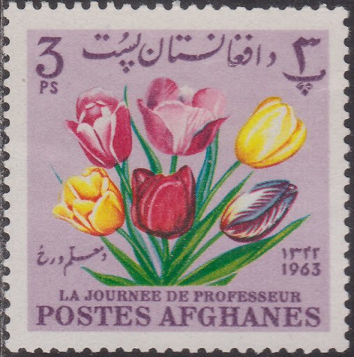 Tulips