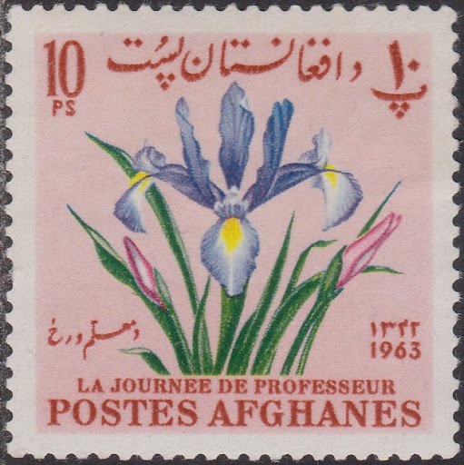 Iris