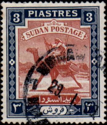 Postman with Dromedary (Camelus dromedarius)