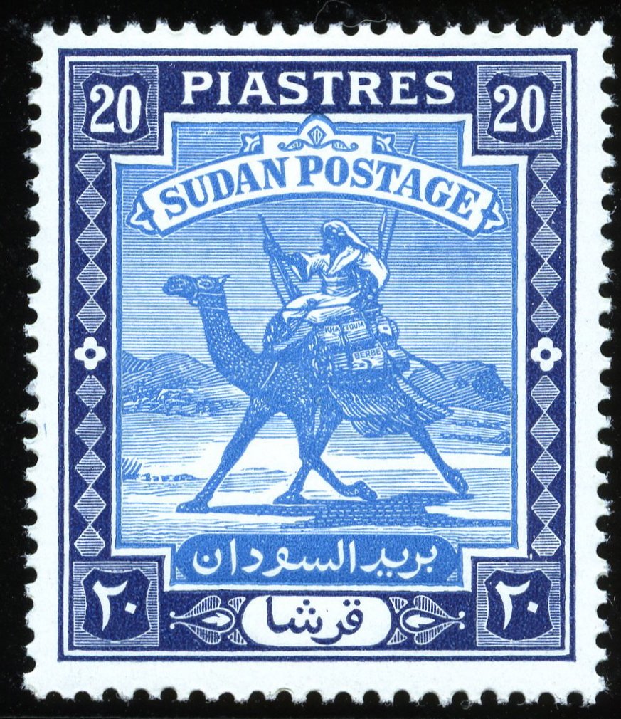 Postman with Dromedary (Camelus dromedarius)