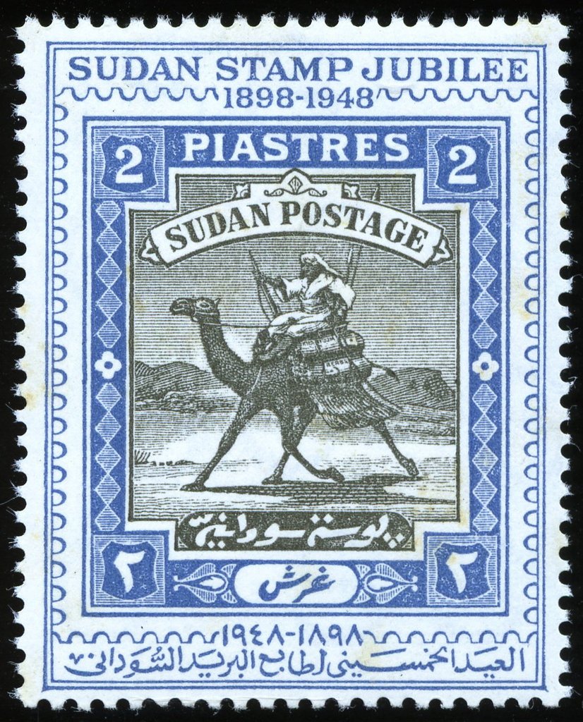 Postman with Dromedary (Camelus dromedarius)