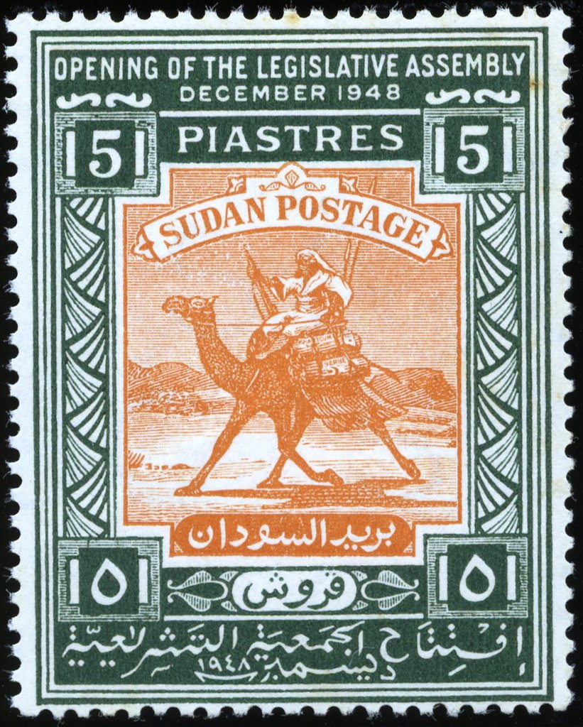 Postman with Dromedary (Camelus dromedarius)