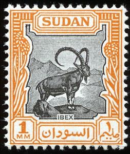 Stamp, Nubian ibex (Capra nubiana), Sudan,  , Mammals, Goats, Animals (Fauna)