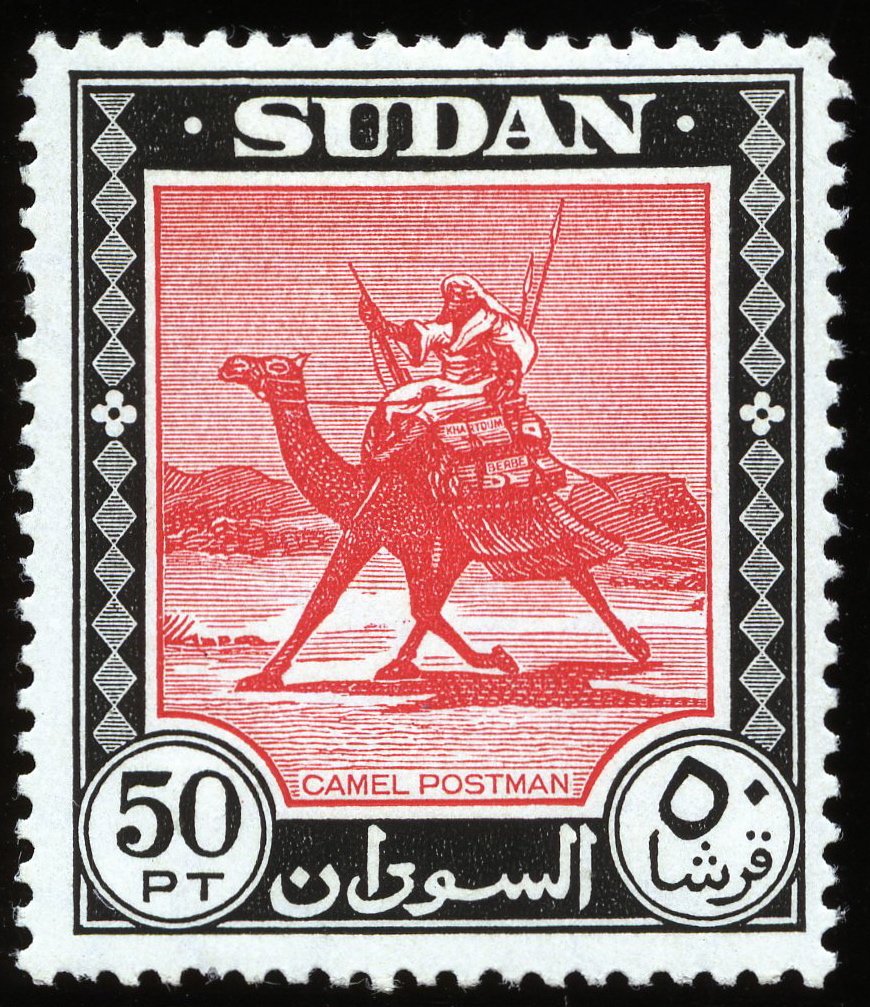 Postman with Dromedary (Camelus dromedarius)