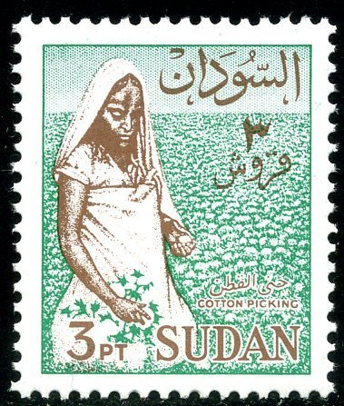 Female cotton picker