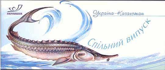 Caspian Seal (Phoca caspica), Black Sea Beluga (Huso huso po