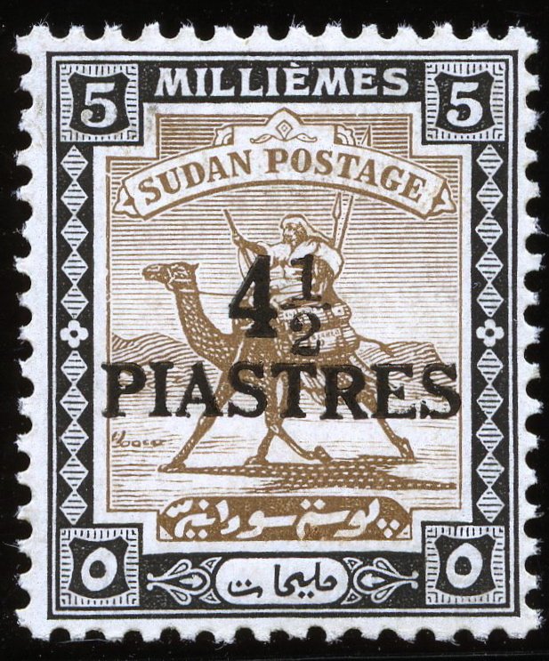 Postman with Dromedary (Camelus dromedarius)