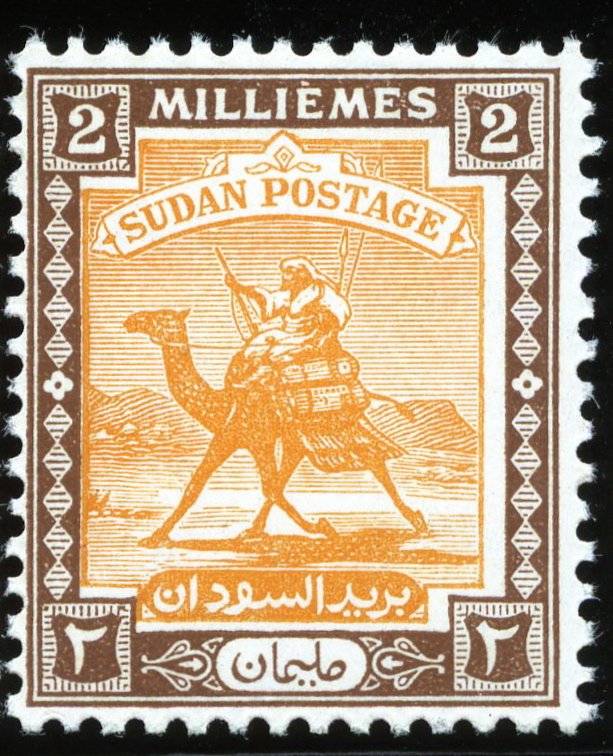 Postman with Dromedary (Camelus dromedarius)