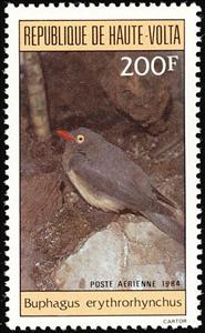 Stamp, Red-billed Oxpecker (Buphagus erythrorhynchus), Upper Volta,  , Birds, Animals (Fauna)