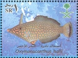 Stamp, Red Sea Longnose Filefish (Oxymonacanthus halli), Saudi Arabia,  , Fishes