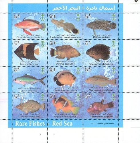 Rare Fish of the Red Sea - MiNo. 1399-1410