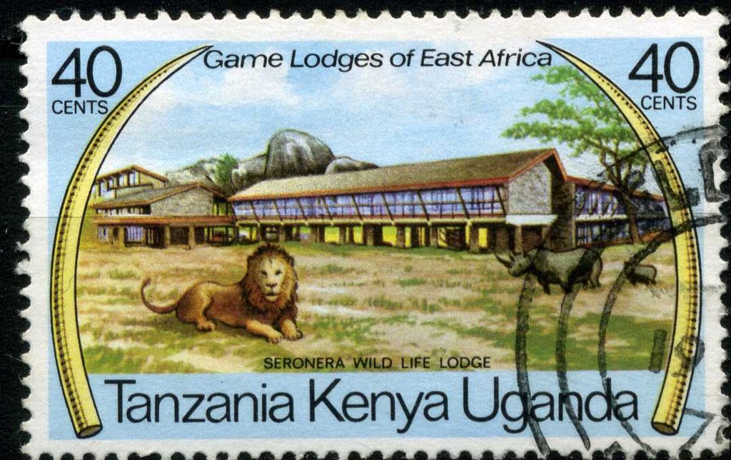 Seronera - Tanzania, Lion (Panthera leo)