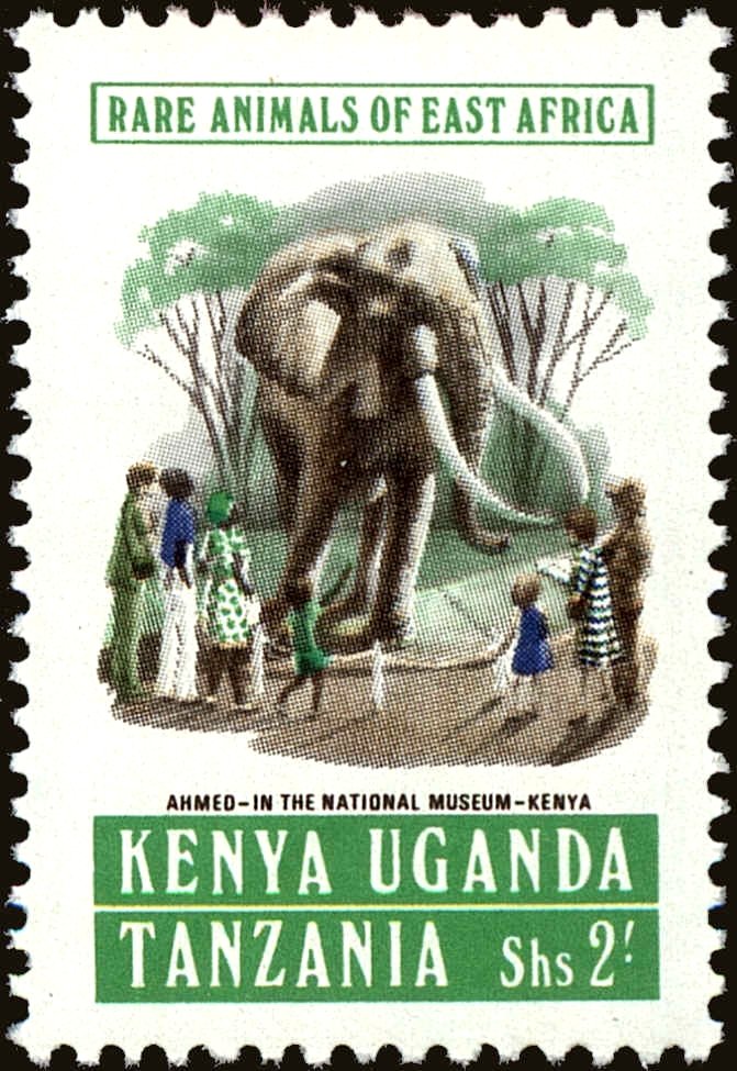 Stuffed Elephant "Ahmed", Kenyan National Museum