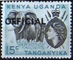 African Elephant (Loxodonta africana)