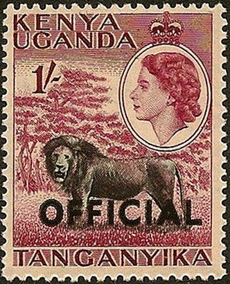 Lion (Panthera leo)