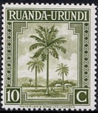 Palmtree