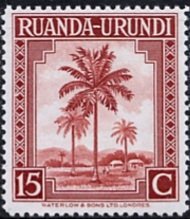 Palmtree