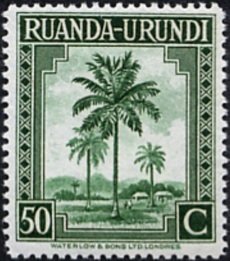 Palmtree