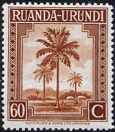 Palmtree