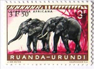 Stamp, African Elephant (Loxodonta africana), Ruanda-Urundi,  , Mammals, Elephants, Animals (Fauna)