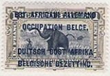 African Elephant (Loxodonta africana)