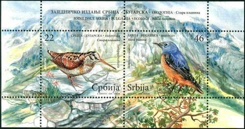 Eurasian Woodcock (Scolopax rusticola), Common Rock Thrush (