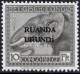 African Elephant (Loxodonta africana)
