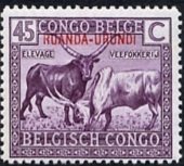 Stamp, Watussi Cattle (Bos primigenius taurus), Ruanda-Urundi,  , Mammals, Cattle, Animals (Fauna)